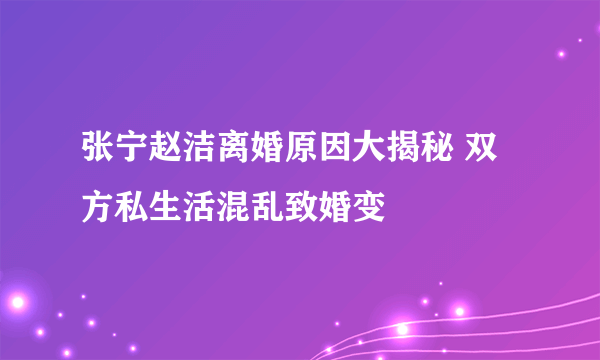 张宁赵洁离婚原因大揭秘 双方私生活混乱致婚变