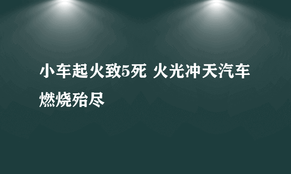 小车起火致5死 火光冲天汽车燃烧殆尽