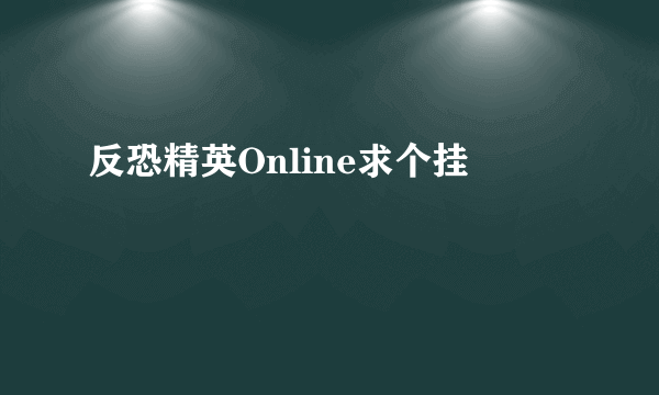 反恐精英Online求个挂