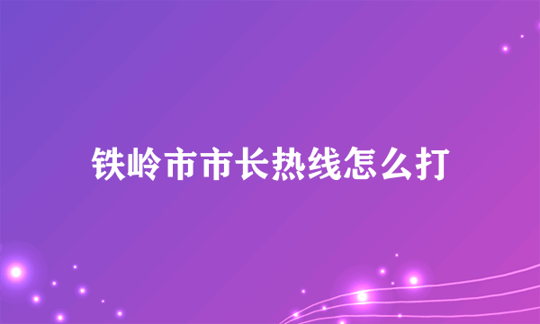 铁岭市市长热线怎么打