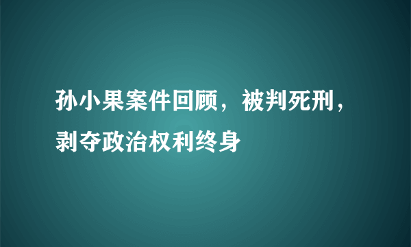 孙小果案件回顾，被判死刑，剥夺政治权利终身