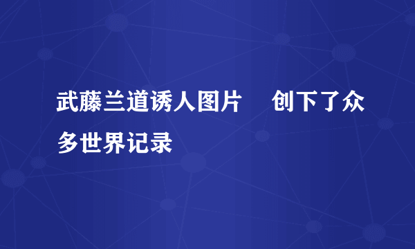 武藤兰道诱人图片    创下了众多世界记录