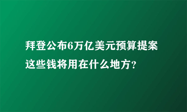 拜登公布6万亿美元预算提案 这些钱将用在什么地方？