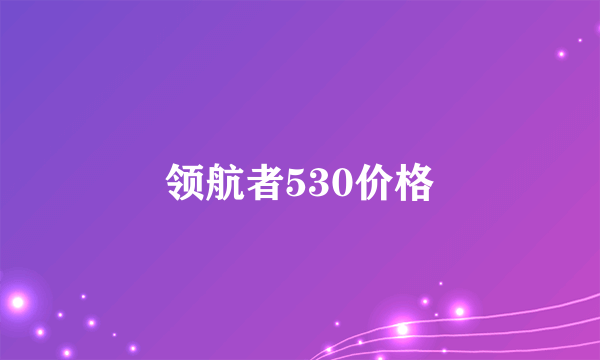 领航者530价格