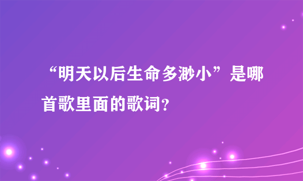 “明天以后生命多渺小”是哪首歌里面的歌词？