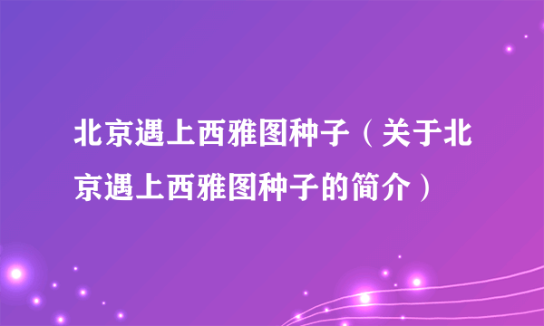 北京遇上西雅图种子（关于北京遇上西雅图种子的简介）