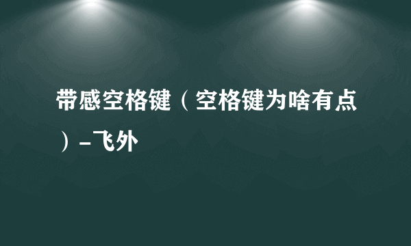 带感空格键（空格键为啥有点）-飞外