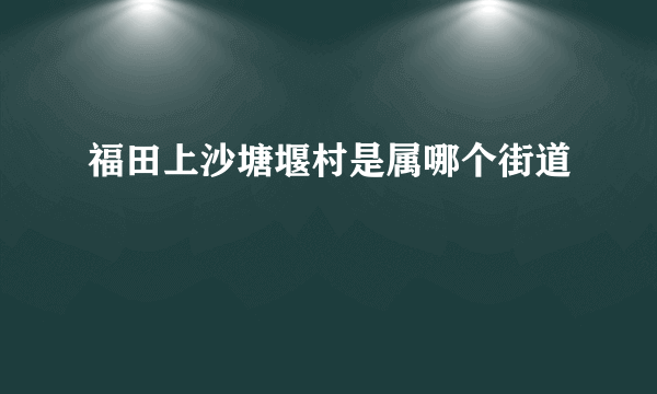 福田上沙塘堰村是属哪个街道