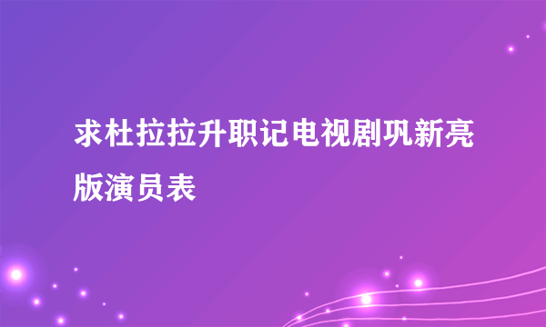 求杜拉拉升职记电视剧巩新亮版演员表