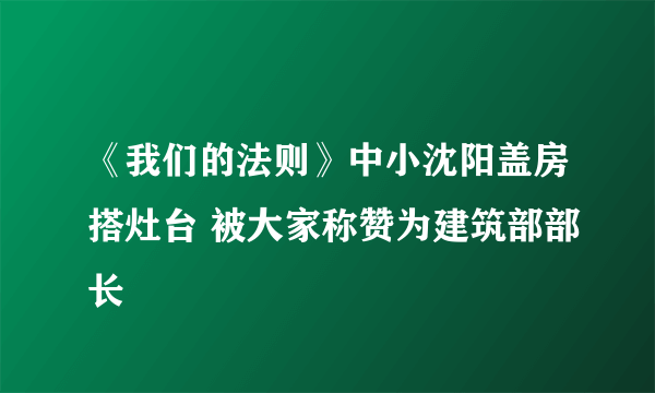 《我们的法则》中小沈阳盖房搭灶台 被大家称赞为建筑部部长