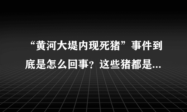 “黄河大堤内现死猪”事件到底是怎么回事？这些猪都是哪来的啊？