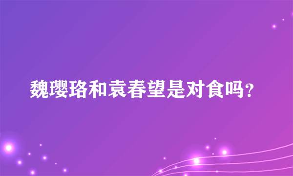 魏璎珞和袁春望是对食吗？