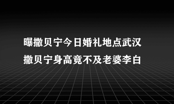 曝撒贝宁今日婚礼地点武汉 撒贝宁身高竟不及老婆李白