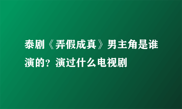 泰剧《弄假成真》男主角是谁演的？演过什么电视剧