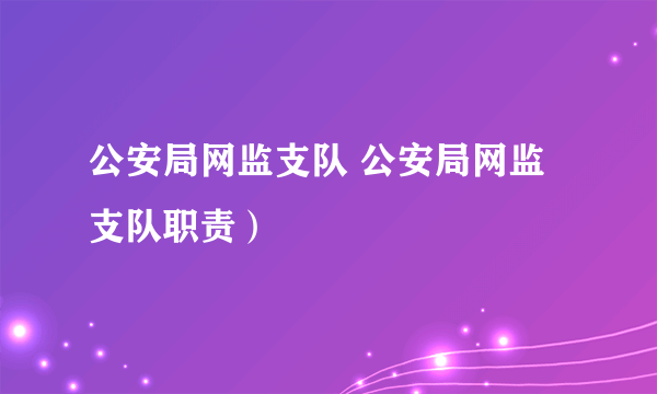 公安局网监支队 公安局网监支队职责）