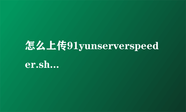 怎么上传91yunserverspeeder.sh到vps上