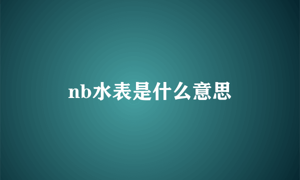 nb水表是什么意思