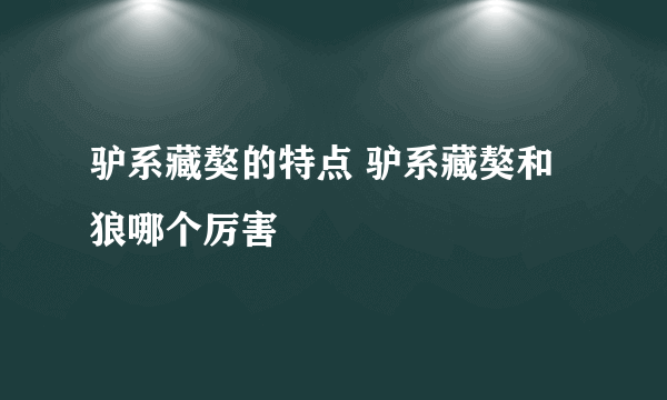 驴系藏獒的特点 驴系藏獒和狼哪个厉害