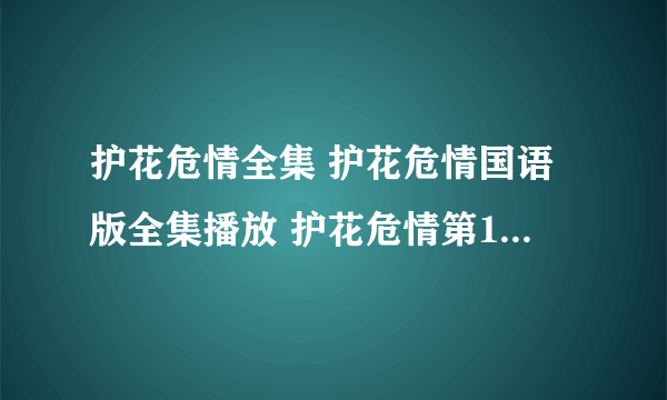 护花危情全集 护花危情国语版全集播放 护花危情第1-20集在线观看