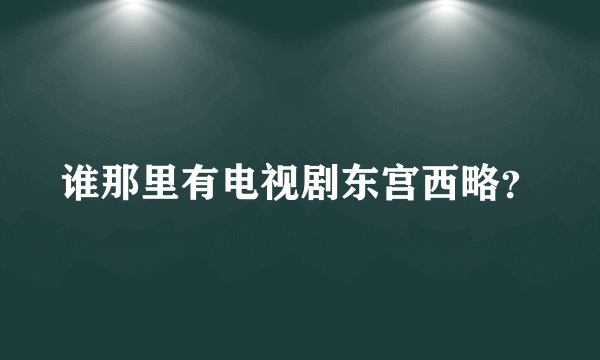 谁那里有电视剧东宫西略？