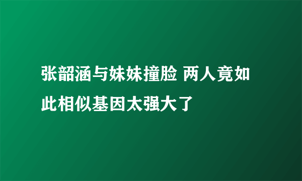 张韶涵与妹妹撞脸 两人竟如此相似基因太强大了