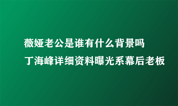 薇娅老公是谁有什么背景吗 丁海峰详细资料曝光系幕后老板