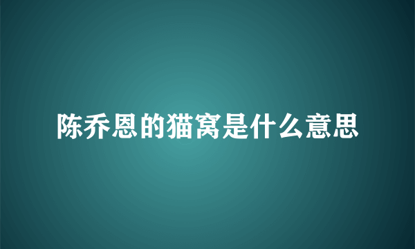 陈乔恩的猫窝是什么意思