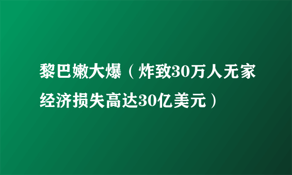 黎巴嫩大爆（炸致30万人无家经济损失高达30亿美元）