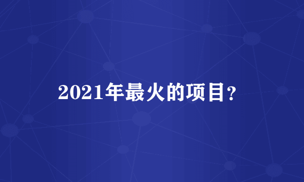 2021年最火的项目？