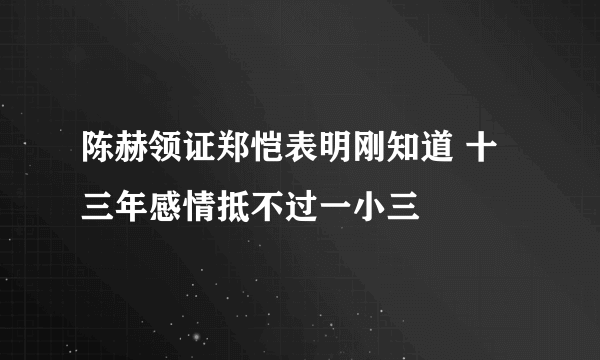 陈赫领证郑恺表明刚知道 十三年感情抵不过一小三