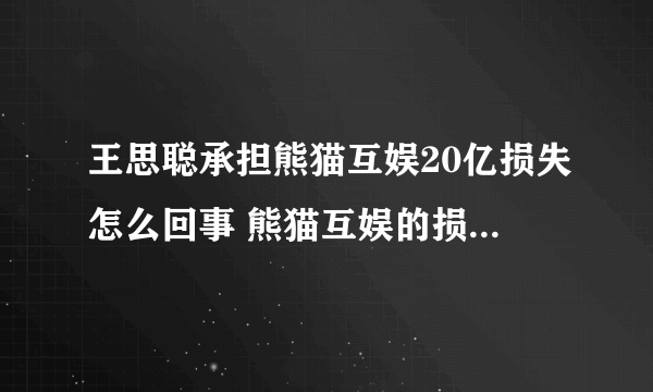 王思聪承担熊猫互娱20亿损失怎么回事 熊猫互娱的损失为何全是王思聪承担