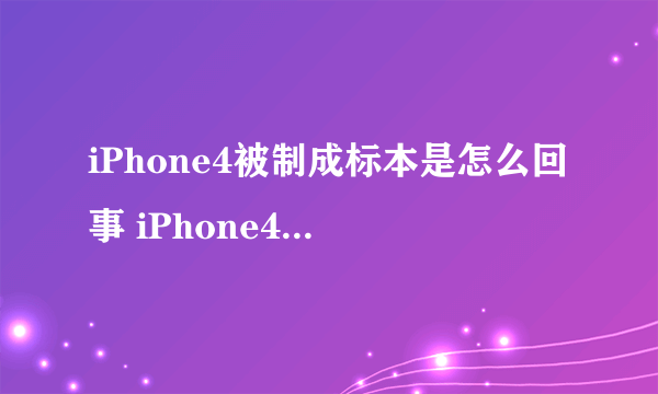 iPhone4被制成标本是怎么回事 iPhone4被制成标本介绍