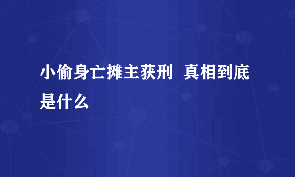 小偷身亡摊主获刑  真相到底是什么