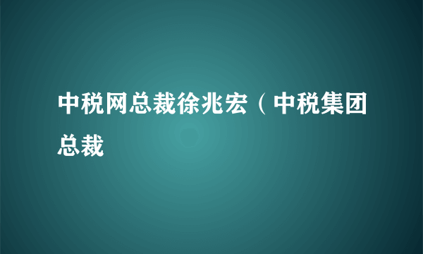 中税网总裁徐兆宏（中税集团总裁