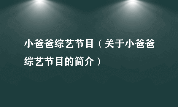 小爸爸综艺节目（关于小爸爸综艺节目的简介）