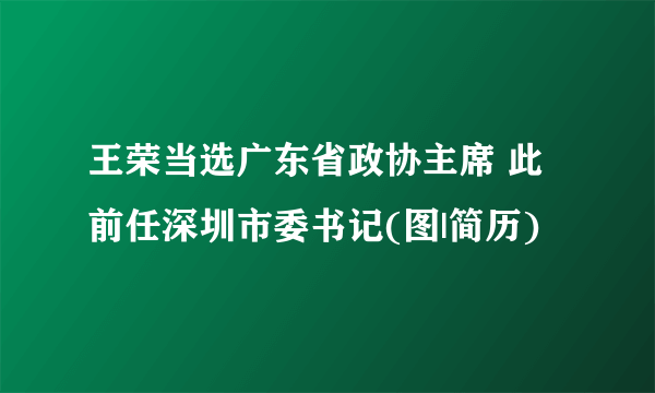 王荣当选广东省政协主席 此前任深圳市委书记(图|简历)