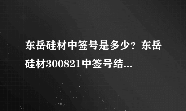 东岳硅材中签号是多少？东岳硅材300821中签号结果一览表-飞外网