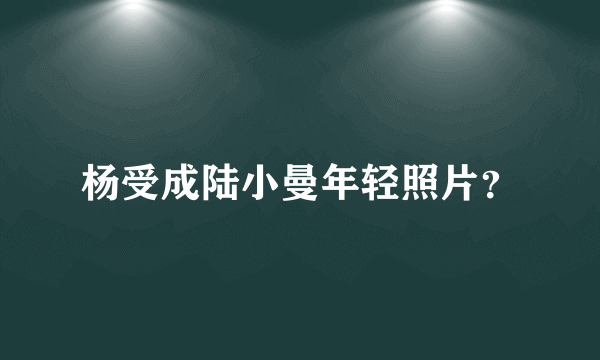 杨受成陆小曼年轻照片？