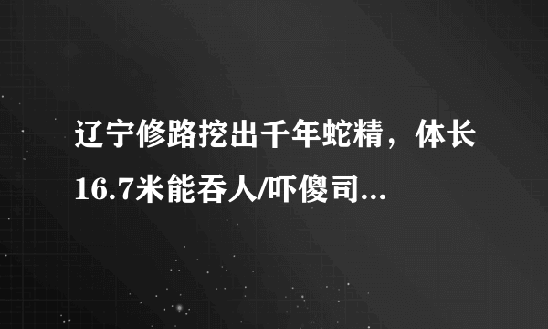 辽宁修路挖出千年蛇精，体长16.7米能吞人/吓傻司机(图片)-飞外网