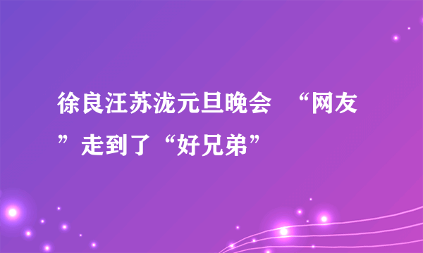 徐良汪苏泷元旦晚会  “网友”走到了“好兄弟”