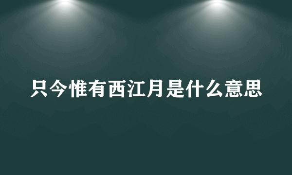 只今惟有西江月是什么意思