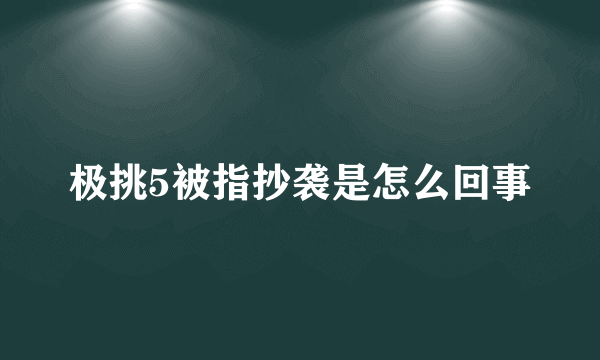 极挑5被指抄袭是怎么回事