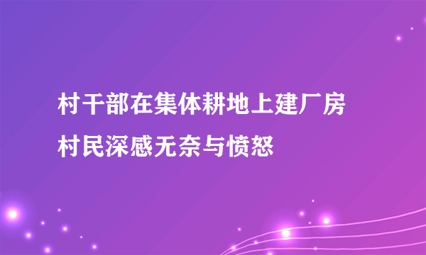 村干部在集体耕地上建厂房 村民深感无奈与愤怒