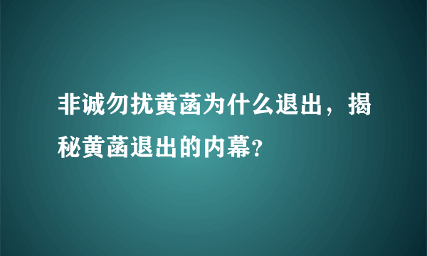 非诚勿扰黄菡为什么退出，揭秘黄菡退出的内幕？