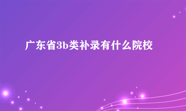 广东省3b类补录有什么院校