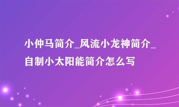 小仲马简介_风流小龙神简介_自制小太阳能简介怎么写