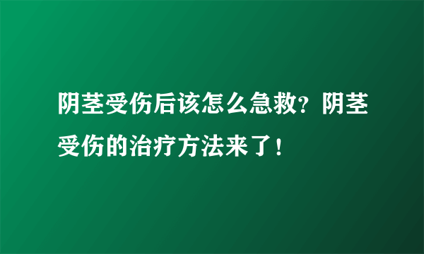 阴茎受伤后该怎么急救？阴茎受伤的治疗方法来了！