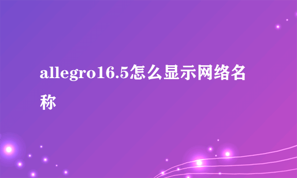 allegro16.5怎么显示网络名称