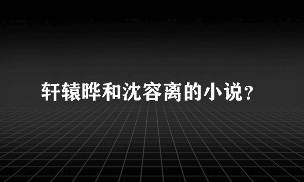 轩辕晔和沈容离的小说？