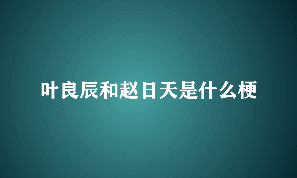 叶良辰和赵日天是什么梗